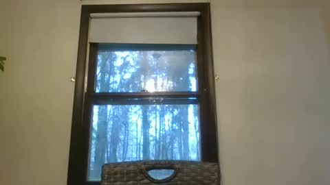 scottpbi52 online show from February 6, 1:43 pm