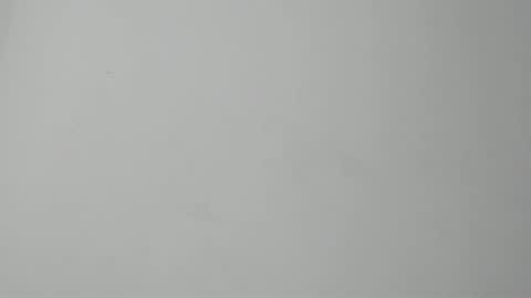 sebatian palacios online show from December 2, 6:24 am