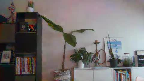 Snapshot of sebix9206 chatting on February 13, 8:27 am sebix9206 online show from February 13, 8:27 am