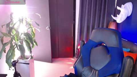 sed online show from February 18, 11:55 am