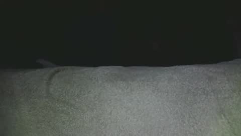 septpouce77 online show from April 3, 1:34 am