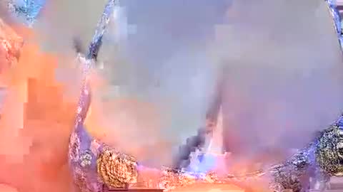 misslovely j online show from March 2, 10:45 am