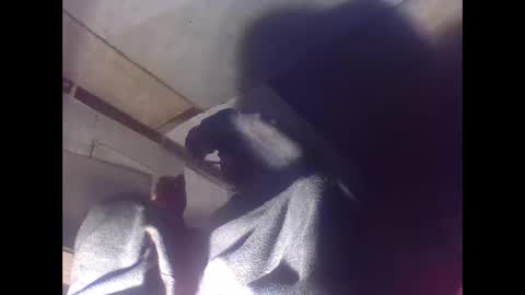 sexy15802 online show from January 4, 7:03 am