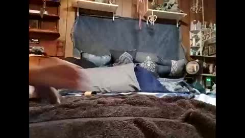 Lilmommysissyboy online show from March 3, 10:33 am