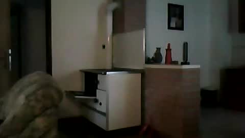 excelo21 online show from January 7, 10:33 am