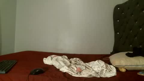 Shi-ro online show from February 7, 10:51 am