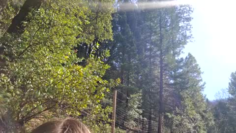 Aurora Wolfe  Shy College Girl  Top 16 of all OF Creators online show from February 10, 9:47 pm