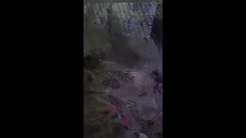 shylom28193 online show from April 6, 10:27 am