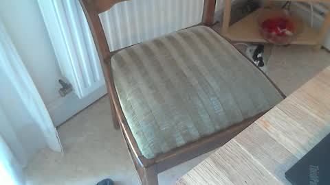 Seba online show from March 4, 11:19 am