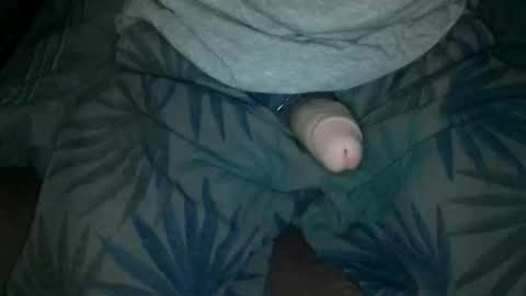 silentstiffler online show from April 28, 1:36 am