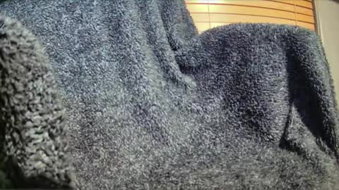 Snapshot of simul_live chatting on February 27, 6:13 am Simul online show from February 27, 6:13 am