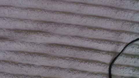 Lina online show from December 5, 10:47 am