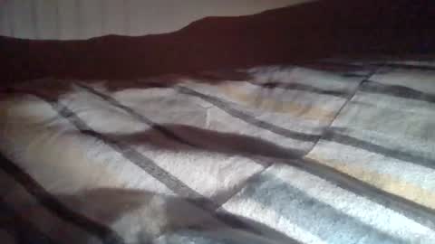 sircamalot45 online show from February 8, 5:11 am