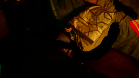 red online show from September 18, 1:37 pm