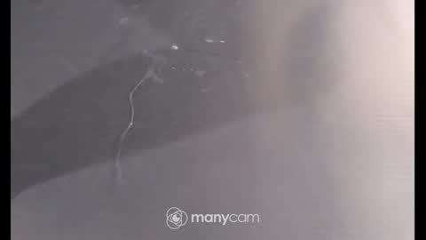 Sissyslut6111 online show from December 26, 6:54 pm