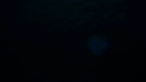 Skarlet online show from October 8, 3:02 am