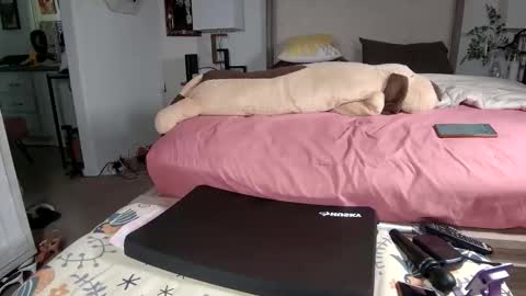 skinnyasianmilf online show from November 2, 6:08 pm