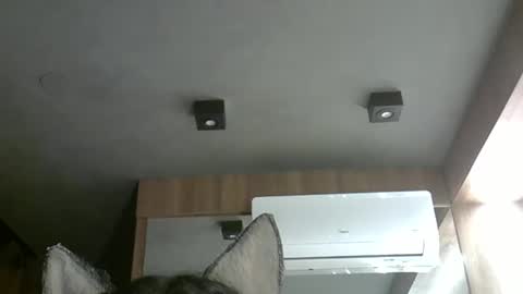 skinnykittencam online show from October 30, 1:06 am