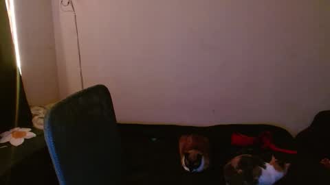 reep online show from January 15, 5:27 am