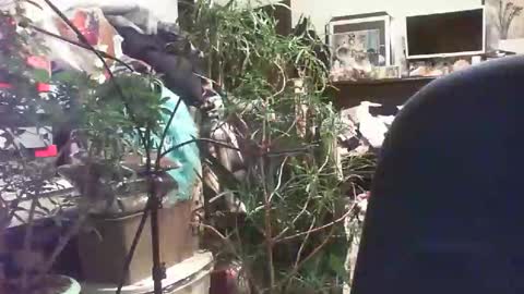 slowsportnaked online show from November 9, 4:10 pm