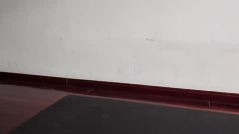 slutfactor online show from March 31, 6:36 am