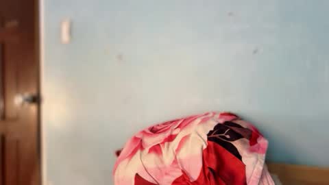 call me sunshine online show from November 25, 5:28 am