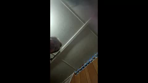 Dab4daze online show from February 15, 6:37 am