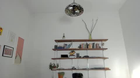   online show from November 20, 1:04 am