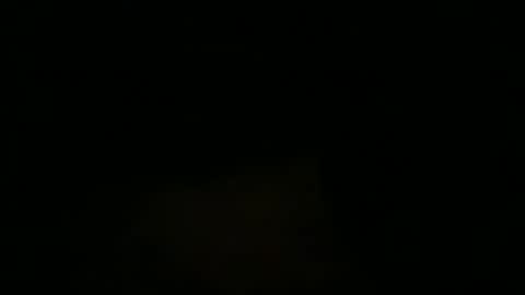 soalo online show from November 29, 8:44 am