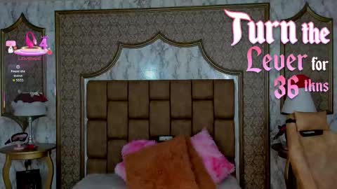    Schedule 1400 - 2100 gtm-5  online show from December 19, 1:06 pm