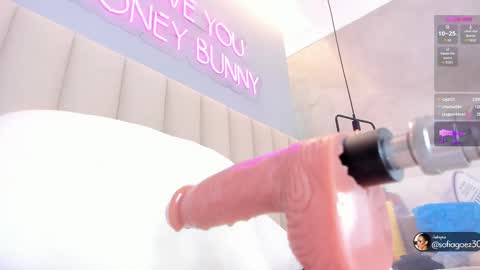 Sofia  online show from October 6, 12:01 pm