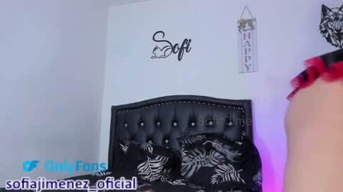 Snapshot of sofiajimenez_ chatting on February 23, 11:25 pm Sofia Jimenez online show from February 23, 11:25 pm