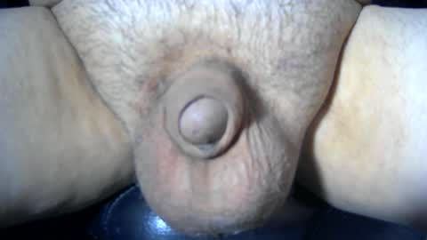 soft4you online show from September 24, 7:59 am