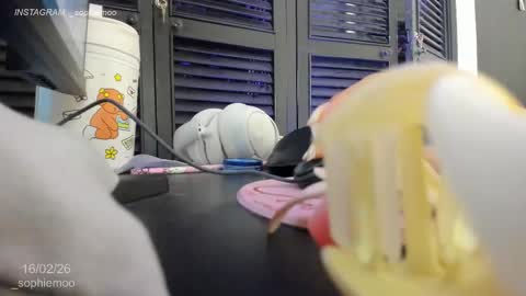 Sophie online show from February 16, 11:41 am