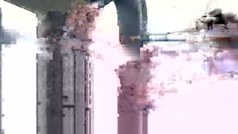 spence6669_tree online show from December 1, 8:07 pm