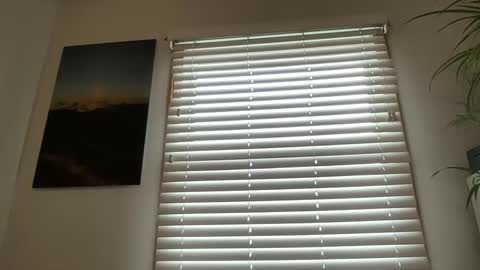 Peppers online show from December 18, 3:44 pm