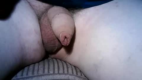 splitter60 online show from February 14, 4:53 pm