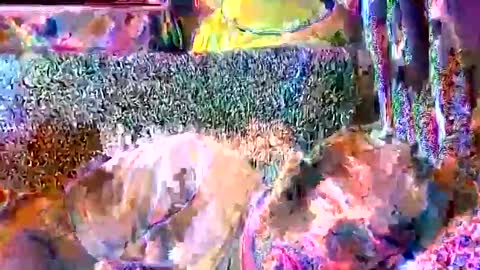 srekos38 online show from April 11, 8:40 am