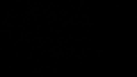 Stacy  online show from February 24, 2:20 pm