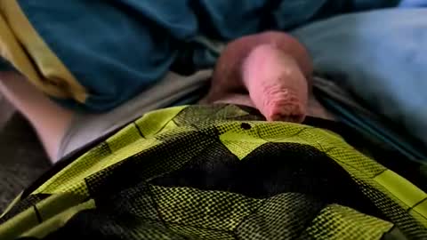 stecher8619 online show from March 24, 2:50 am