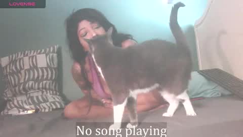 Snapshot of stella_clitella chatting on October 3, 11:40 am Stella Clitella online show from October 3, 11:40 am