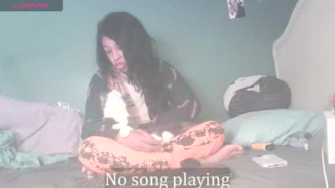 Stella Clitella online show from February 1, 10:34 am