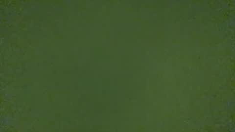 stensurfarn online show from March 21, 11:15 am