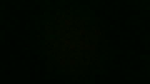 stensurfarn online show from December 2, 12:47 pm