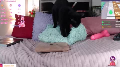    IG  stephani 3333 online show from February 9, 2:37 am