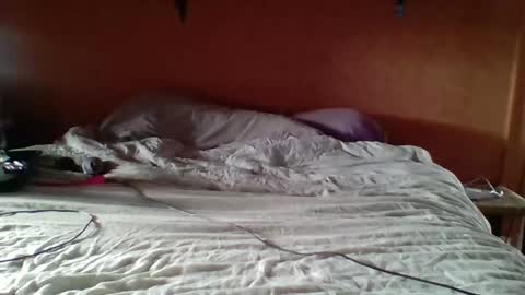 stevefromfrance online show from January 3, 12:18 pm