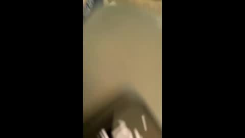 steviet6677 online show from December 1, 3:54 pm