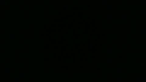 strangerdanger_2 online show from April 16, 11:43 am