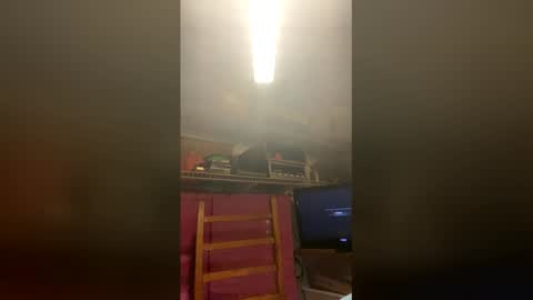 stsnutshell online show from April 1, 11:22 am