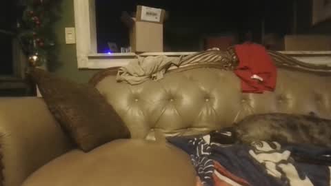 sub_michael41 online show from December 21, 6:52 am